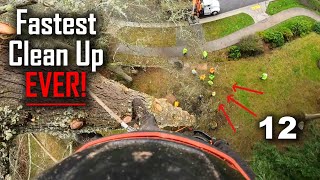 Military Base Tree Removal! 1 Climber, 12 Ground Guys! WHAT!?
