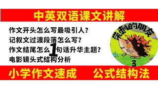 小学 语文/写 作文/《带刺的朋友》3/作文开头怎么写最吸引人？/记叙文过渡段落怎么写？/作文结尾怎么一句话升华主题？/电影镜头式结构分析/中文 课/最新 2021/中英双语讲解/小学作文速成