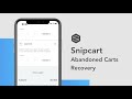 Snipcart Tutorial - Abandoned Cart Recovery