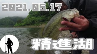 精進湖でバス釣り/スピナーベイト