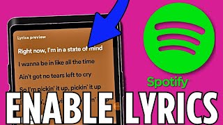 How to Enable Lyrics on Spotify (2024)