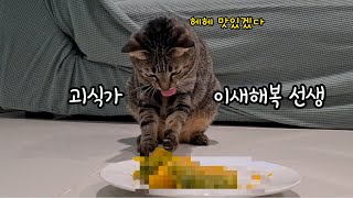 고양이의 은밀한 취향 : 입맛이 남다른 해복이