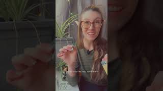 Blue Dream Airo Pod strain series - unbiased review