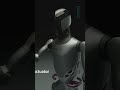 robô humanoide fourier gr 2 tecnologia humanoide robótica ai