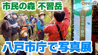 市民の森不習岳 八戸市庁で写真展開催｜青森県八戸市のニュース