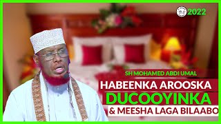 HABEENKA AROOSKA DUCOOYIN \u0026 MEESHA LAGA BILAABO ᴴᴰ┇► sheekh maxamed cabdi umal