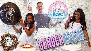 Surprise GENDER Reveal and BABY SHOWER - BOY OR GIRL??? |12 Days of Christmas