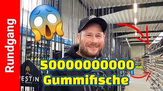 Rundgang Hermanns Angelhütte 🤩 ALLES zum ANGELN auf Barsch, Forelle, Zander \u0026 Hecht 🎣