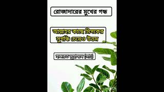 রোজাদারের মুখের গন্ধ আল্লাহর কাছে মিসকের সুগন্ধি চেয়েও উত্তম #আলোর_পথ #গজল #ইসলামিক_ভিডিও #shorts