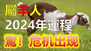 2024生肖運勢，屬羊的人2024年健康運勢，生肖羊今年的健康狀況總體還算不錯，屬羊的人年長者則需要更加注意身體的調理和保養，屬羊的人適當進行體育鍛煉，保持健康的生活方式，十二生肖（生肖羊）