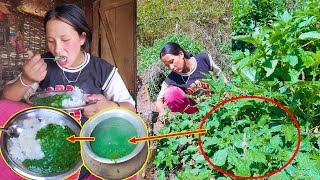 Manjita Picking \u0026 eating nettle curry || Manjita's Green nettle curry recipe@AloneAdhirajnepal