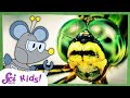 How Do Insect Eyes Work? | Compound Eyes | Amazing Animal Senses | SciShow Kids