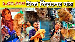 ১,৫০,০০০ টাকা একটি বিড়ালের দাম। cat price.cat market.mirpur cat hat . mirpur 1 cat market.lovelycat