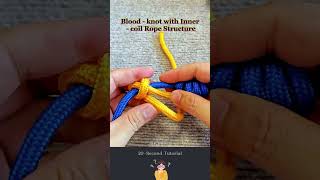 1376# The Amazing Knot Secrets that You Need to Know.