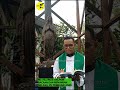 bacaan dan renungan selasa 04 februari 2025