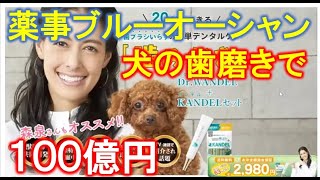 【薬事ブルーオーシャン】ペット歯磨きで成功ーワンデルカンデル　歯周病対策＋飼い主の負担軽減で１００億円！