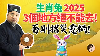 生肖兔注意！2025年乙巳蛇年，3個地方絕不能去！否則招災惹禍！千萬注意，要當心！ #2025年生肖兔運勢 #2025年生肖兔運程 #2025年屬兔運勢 #2025年屬兔運程