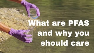 What are PFAS and why are they dangerous? Is teflon safe?