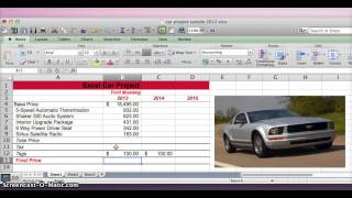 Excel Car Project