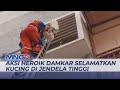 Aksi Heroik Tim Damkar Evakuasi Kucing yang Tiga Hari Terjebak di Jendela Tinggi