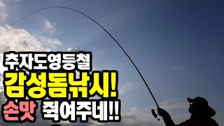 추자도영등철 감성돔낚시 손맛 쥑여주네! [캠낚세끼] / 낚시n캠핑/ Camping / Fishing / Jeju Island