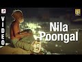 Thenmaavin Kombathu - Nila Poongal Malayalam Song Video | Mohanlal, Shobana