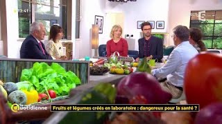 Fruits et légumes créés en laboratoire : dangereux pour la santé ?