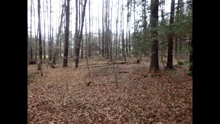 成約済み【原村深山　住宅・別荘向き山林 土地物件】  諏訪郡原村 石井企画