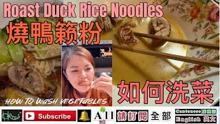 ［Roast duck noodles, how to wash vegetables］燒鴨籁粉、如何洗菜*紐約鐵達尼號博物館碼頭，Venus Yan A,1/16/2025(🇺🇸,H)