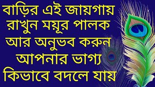 মযুর পালকের ২১টি অবাক করা ক্ষমতা,ময়ূর পালকের গুনাগুন/barir ei jaigai rakhun mayur palak