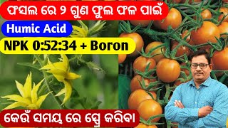 2 ଗୁଣ ଫୁଲ ଫଳ ପାଇଁ Humic acid ସହିତ କେଉଁ ସାର ଅଣୁସାର ପ୍ରୟୋଗ କରିବେ NPK 0:52:34 + Boron 20% ସ୍ପ୍ରେ