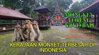 BANYAK MONYET LIAR !! JELAJAH TEMPAT WISATA TERKENAL DIDUNIA