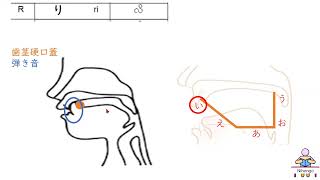 発音らりるれろ　はつおんれんしゅう　ら行＃発音練習 ＃はつおん＃発音＃らぎょう＃ら行＃らりるれろ＃舌の位置 ＃調音点 ＃口の形 ＃調音法