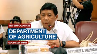 INTERPOLATION: Department of Agriculture | Coco Levy Fund