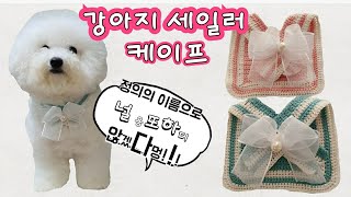 강아지 케이프 뜨개,고양이 케이프 만들기 ,crochet,비숑,리본공예