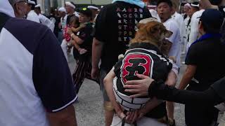 Most Dangerous Racing with Tradition: Danjiri Festival - Need for Speed Osaka, Japan - 岸和田だんじり祭り2023