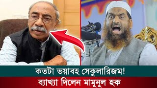 কতটা ভয়াবহ সেকুলারিজম? ব্যাখা দিলেন আল্লামা মামুনুল হক। Allama Mamunul Haque. Waz