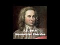 Wir Christenleut Bwv 1090 (Neumeister) - J.S.Bach (Aldo Locatelli , organist)