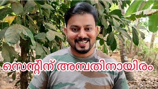 #NP881#സെന്റിന് 50,000 രൂപ മാത്രം അടിപൊളി പറമ്പ് വില്പനക്ക്#House plot for sale#Parambu#house