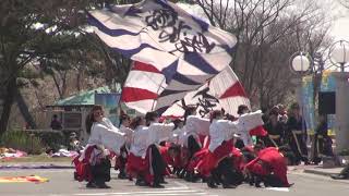 秋田大学よさこいサ－クルよさとせ歌舞輝　食菜館くらら７周年感謝祭　午前の部