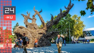 „Nagyon sok az újgazdag, akinek nem lenne szabad puskát adni a kezébe” | 24.hu