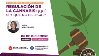 Regulación de Cannabis: ¿Qué sí y qué no es legal?