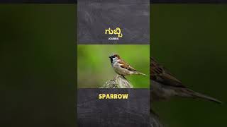 ಗುಬ್ಬಿ (gubbi) = Sparrow | Kannada to English