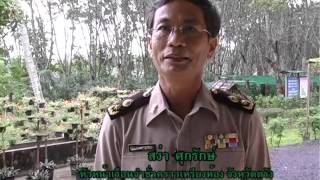 สารคดีสั้น ความสุขของแผ่นดิน ตอน กำลังใจในพระดำริ