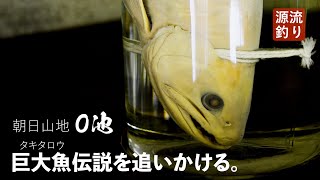 巨大魚伝説の地へ―”2万年”が育んだ怪魚を追う【朝日山地／大鳥池】To the land of the legend of giant fish.