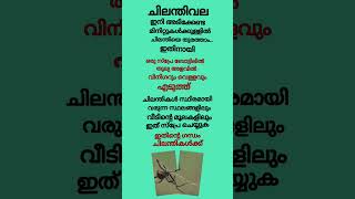 തുരത്താം #usefulhometips #tipsandtricks #shortsfeed #youtubeshorts