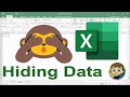 Hiding Data in Excel