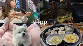 [Vlog]강아지와 함께하는 자취생 일상|을왕리 드라이브|을왕리맛집,강아지카시트추천 노즈워크추천🐶