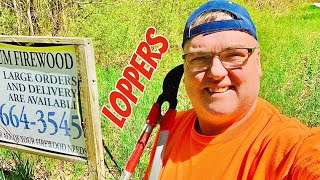 Clearing brush that’s blocking my FIREWOOD sign