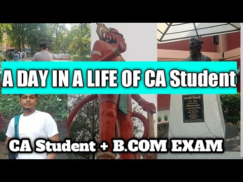 A Day In A Life Of CA Student | Chartered Accountant | CA Student + B ...